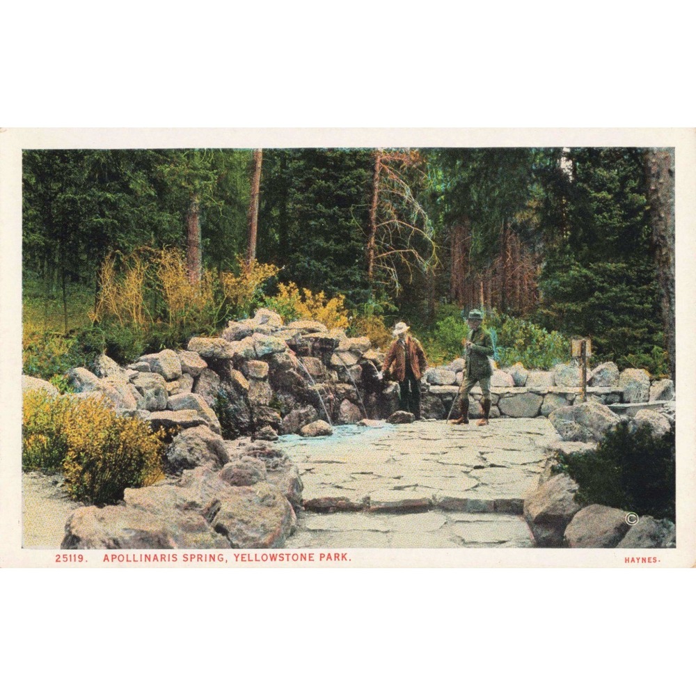 Vintage Haynes Postcard 25119 Apollinaris Spring Yellowstone Park Wyoming VG+